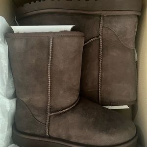 Women’s UGGS